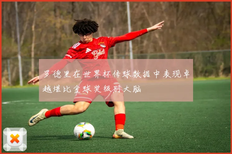 罗德里在世界杯传球数据中表现卓越堪比金球奖级别大脑