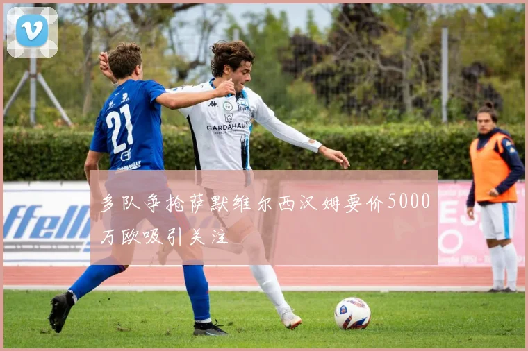 多队争抢萨默维尔西汉姆要价5000万欧吸引关注