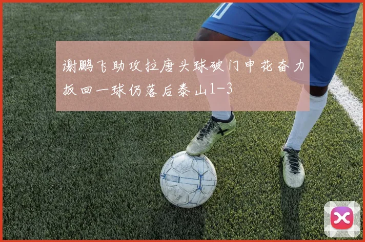 谢鹏飞助攻拉唐头球破门申花奋力扳回一球仍落后泰山1-3