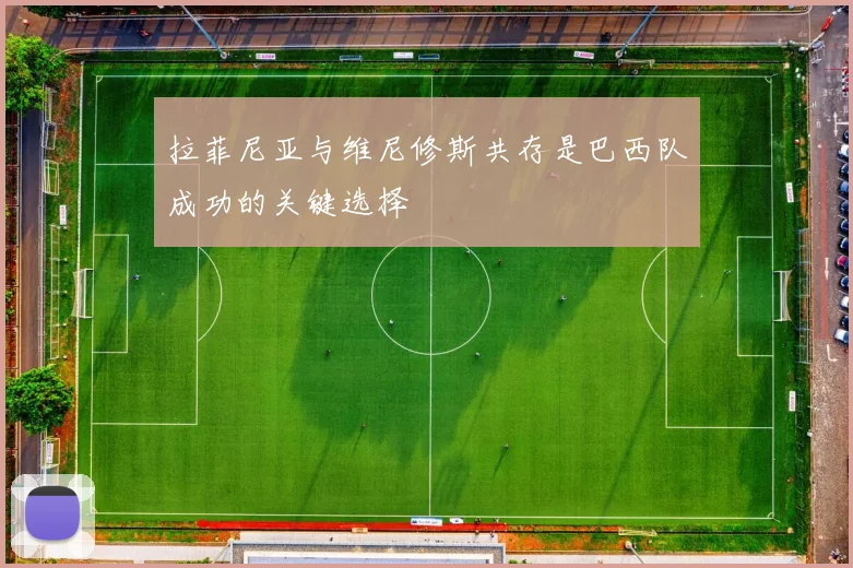 拉菲尼亚与维尼修斯共存是巴西队成功的关键选择
